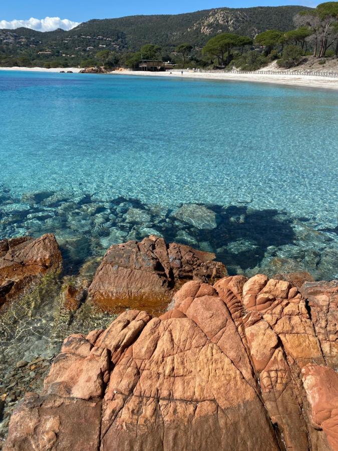Palombaggia Location I Pini Porto Vecchio Porto-Vecchio (Corsica) Exterior foto